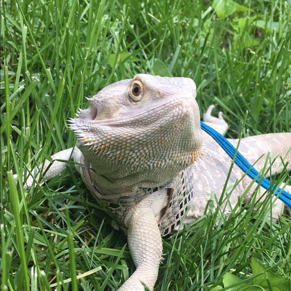 Meet your Posher, Kaylin